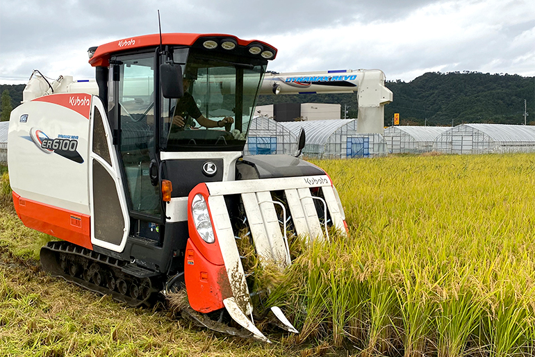 【山形直送計画】有限会社馬町さくらファームの通販 ギフト お取り寄せ