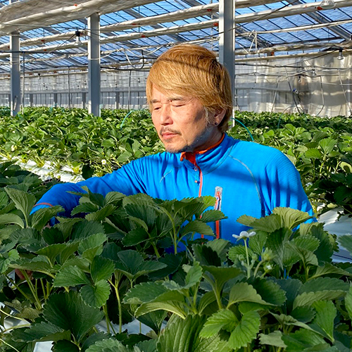 代表：佐藤利宏
