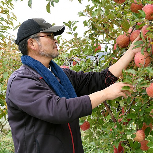 代表：船中信孝