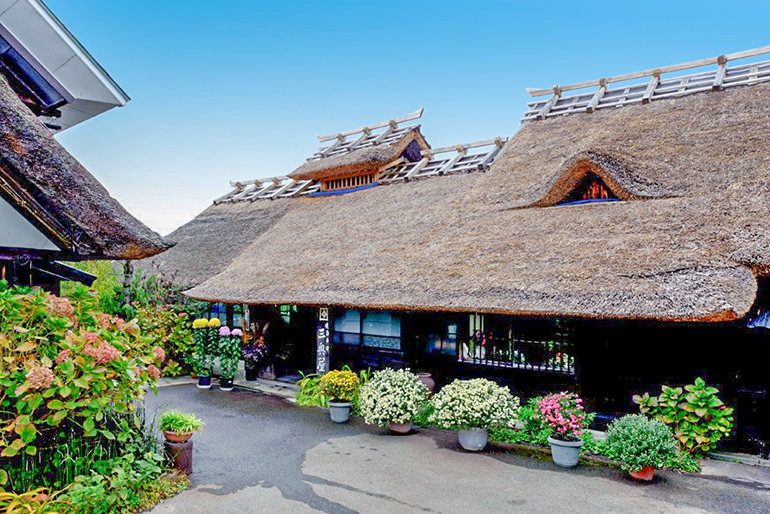 山形直送計画】晩菊本舗 三奥屋の通販 ギフト お取り寄せ