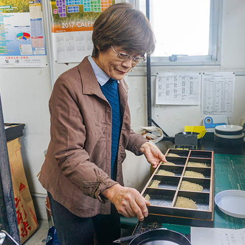 代表取締役：後藤まつ