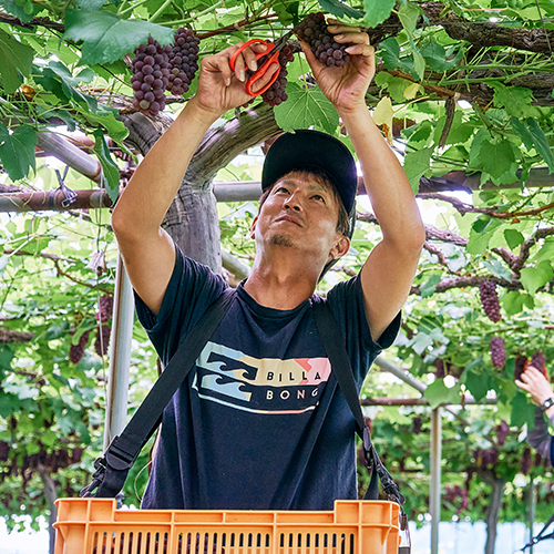 3代目：相良 健