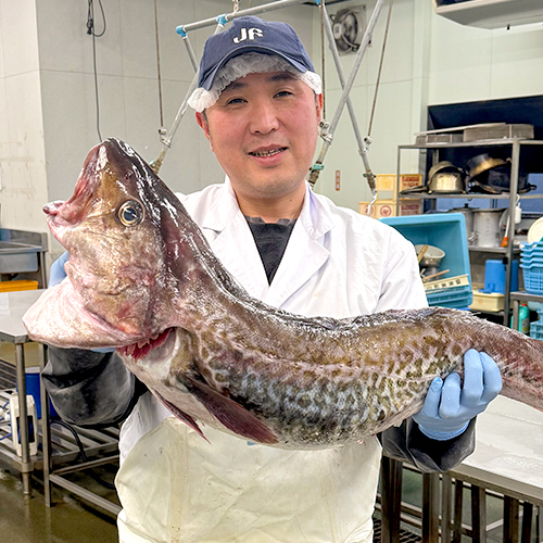係長：菅原和行