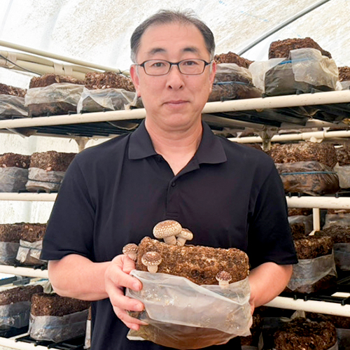 代表：鈴木 渉