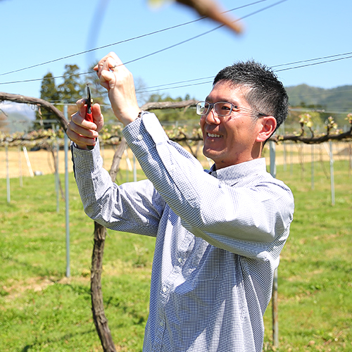 代表：紫安史孝