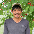 果樹園木楽
