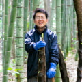 せやねん
