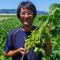 殿や鶴岡