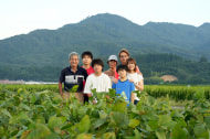 白山ちゃ茶農園