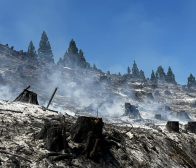 今年も温海かぶの焼畑がおこなわれました
