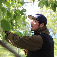 代表：渡邉 進