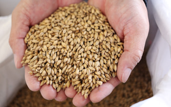 米沢ジャックスブルワリー