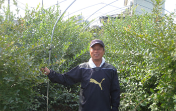 ハンドレッドベリーズ