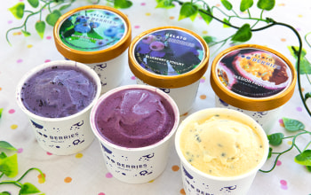 ハンドレッドベリーズ