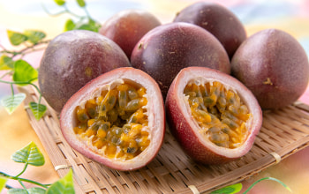 ハンドレッドベリーズ