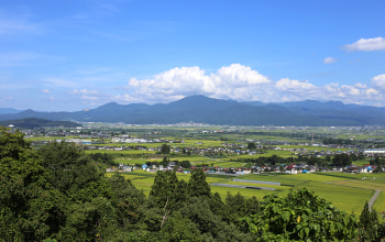 フルーツクリエイティブ