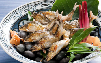 清流庭園 山菜料理 玉貴