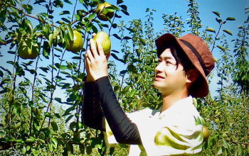 なかむラ・フランスファーム