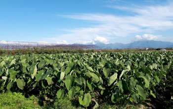 さがえグリーンパーク