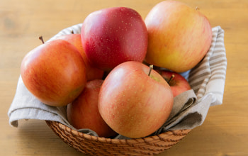 インフィニファーム