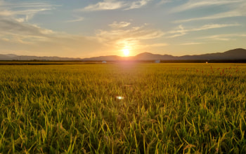 木村くろうえもん農場