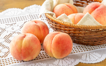 採れたてキッチン