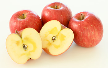 採れたてキッチン