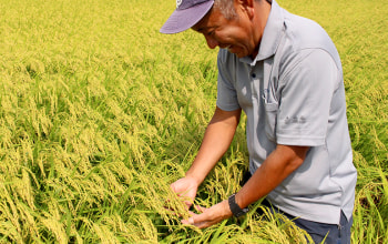 鈴木・ファーム