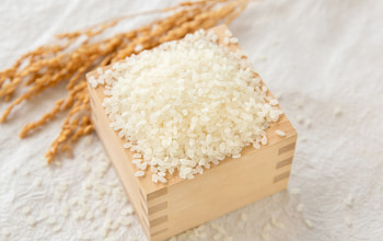 鈴木・ファーム