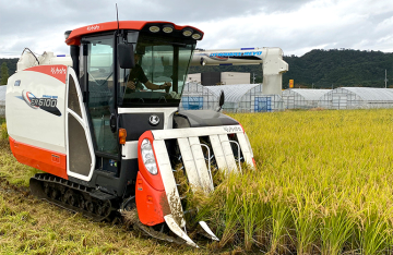 有限会社馬町さくらファーム