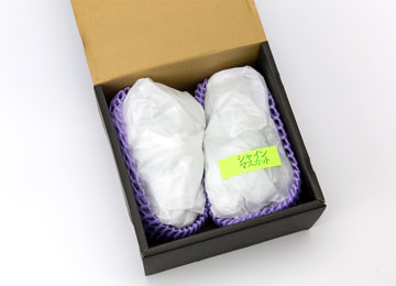 梱包イメージ(贈答用)