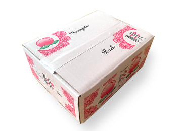 梱包イメージ(家庭用)