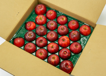 梱包イメージ(紅玉)