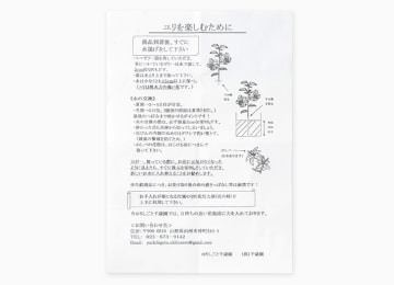 お手入れ方法の説明書を同梱