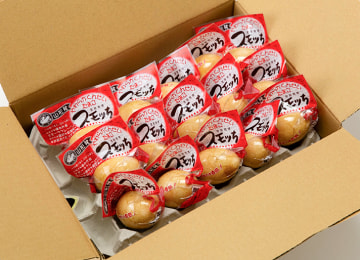 梱包イメージ(15個 簡易包装)