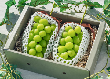 梱包イメージ(2房)