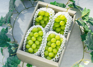 梱包イメージ(1.6kg)