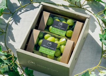 梱包イメージ(粒パック)