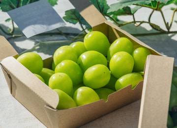 梱包イメージ(粒パック)