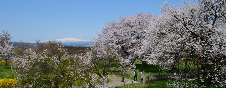 中山町