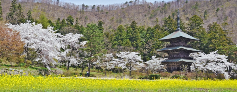 高畠町