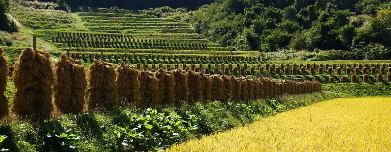 山辺町