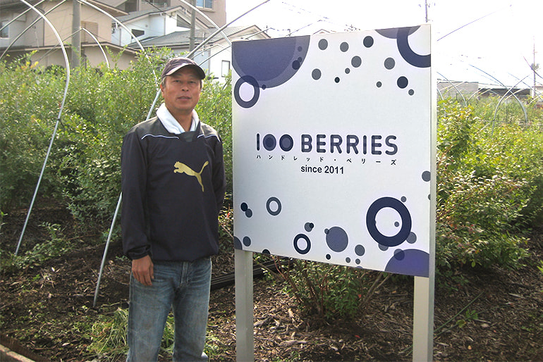 ハンドレッドベリーズ