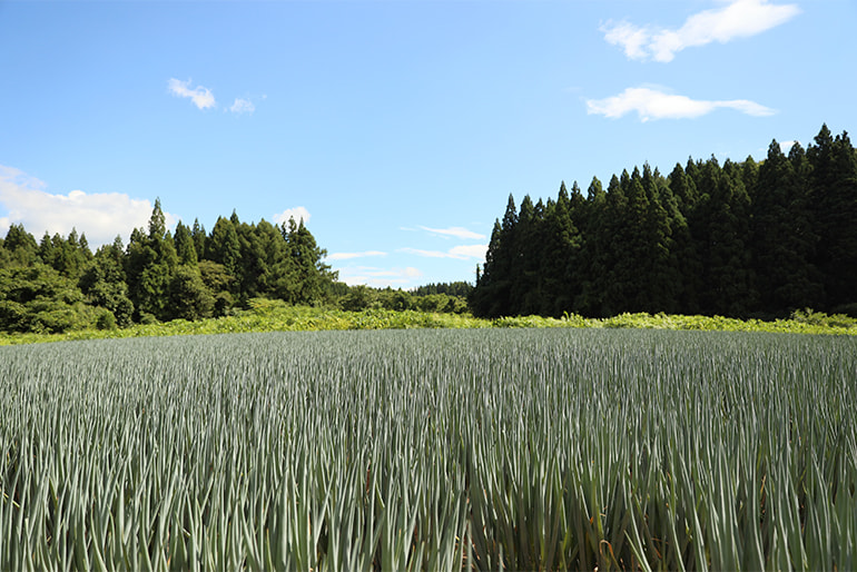 Bella Farm Tsuruoka