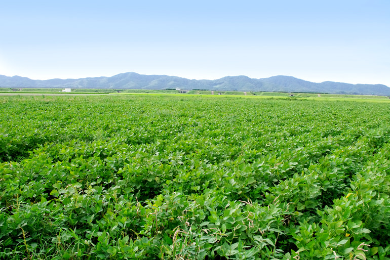 木村くろうえもん農場
