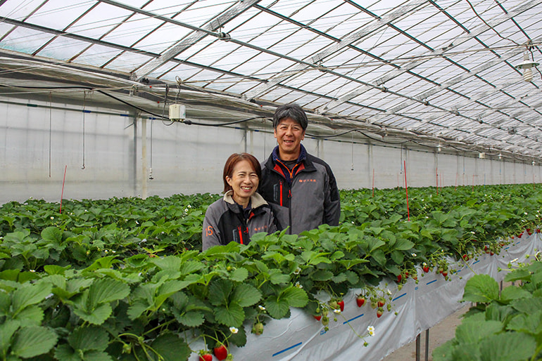 Farm Suzuki