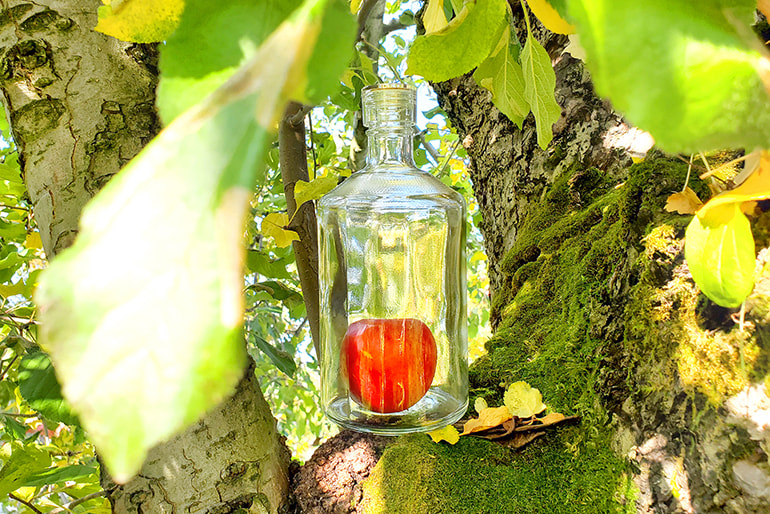 C’est la vie Pomme