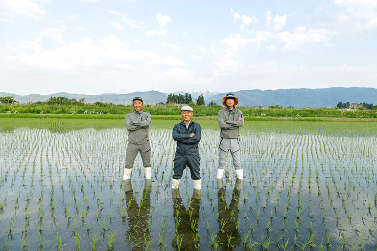 鈴木・ファーム