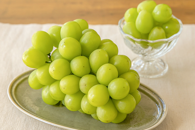 山形県産シャインマスカット – 木村フルーツ