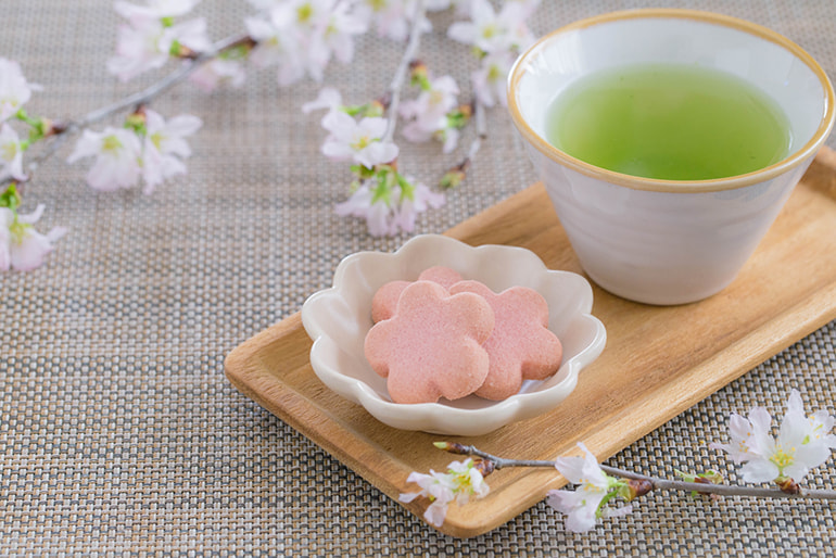 山形県産 啓翁桜 – サクラヒラリ